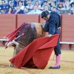 Morante de la Puebla toreando con la muleta en la Real Maestranza de Sevilla