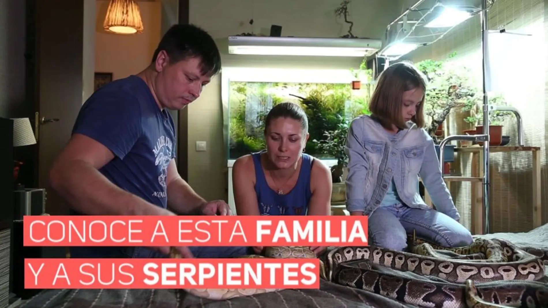 ¿Serías capaz de vivir en una casa con 40 serpientes? Esta familia rusa, sí