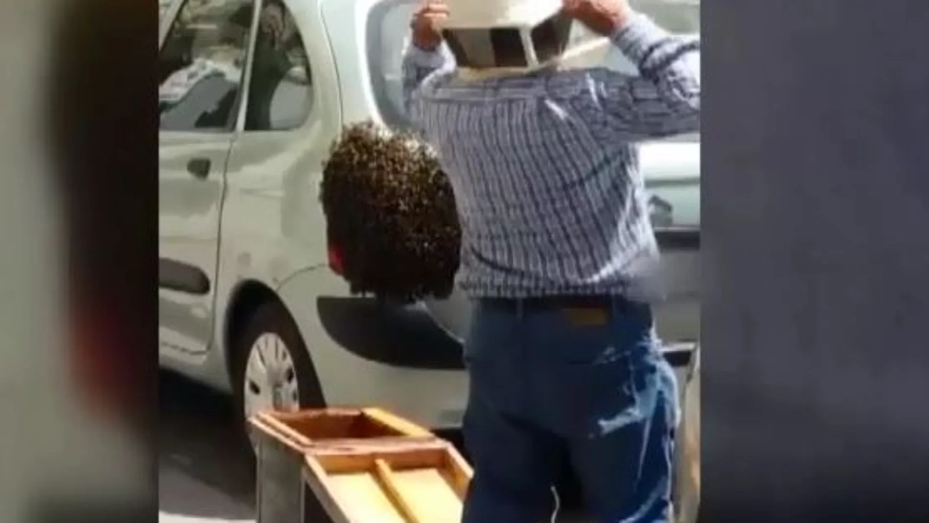 Las abejas colonizan un coche en Mula (Murcia)