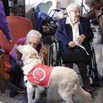 Uno de los perros de asistencia en la residencia de mayores a la que ha acudido Cristina Cifuentes