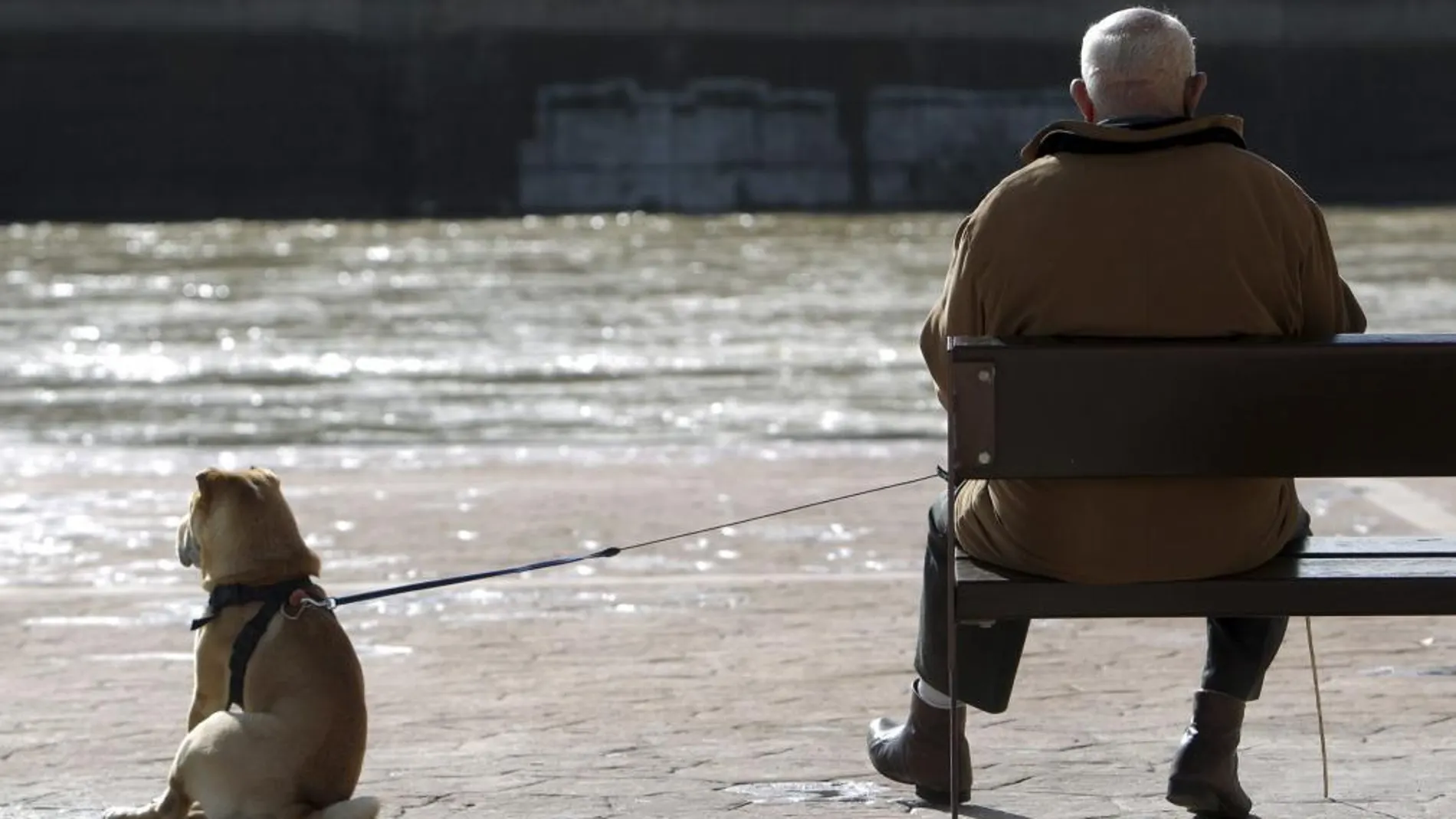 Un anciano contempla el río Ebro