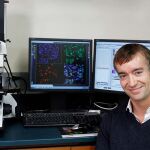 Gregory Scherrer y sus colaboradores han identificado en ratones un conjunto de células que parece funcionar específicamente como un interruptor para la aversión al dolor. Imagen: Paul Sakuma / Stanford University.