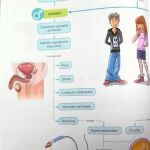 Nociones de reproducción y sexualidad se pueden recibir desde 1º de la ESO, según la LOMCE. En la imagen, un manual Secundaria