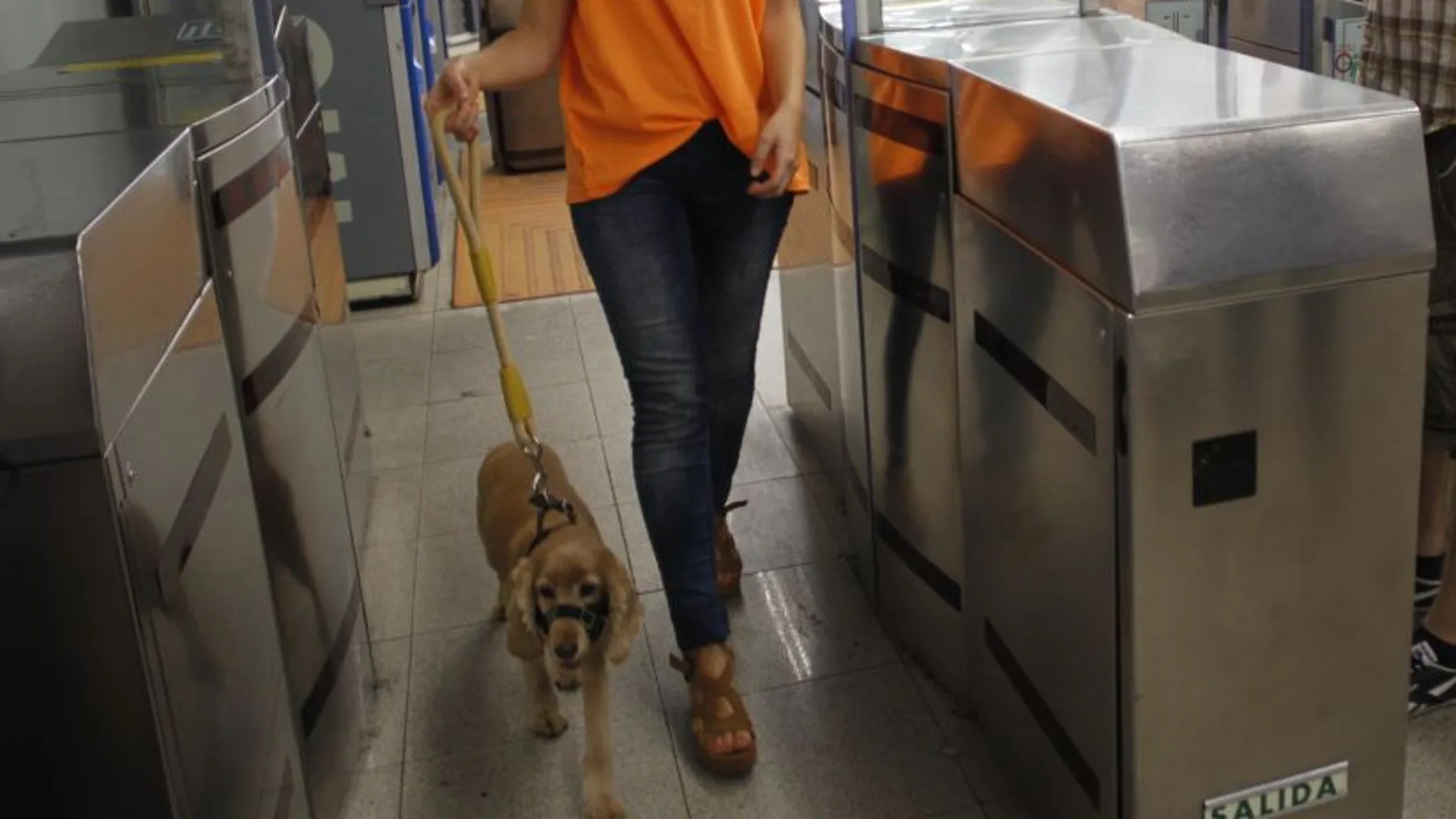Con correa corta, bozal y en el último vagón, así pueden viajar los perros en Metro
