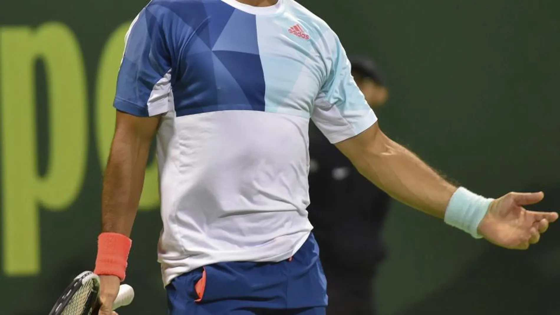 El tenista español Fernando Verdasco, en una imagen de archivo