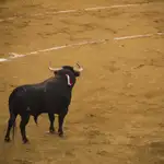  Dos vueltas y un toro de María Agustina López Flores destacan en Zaragoza
