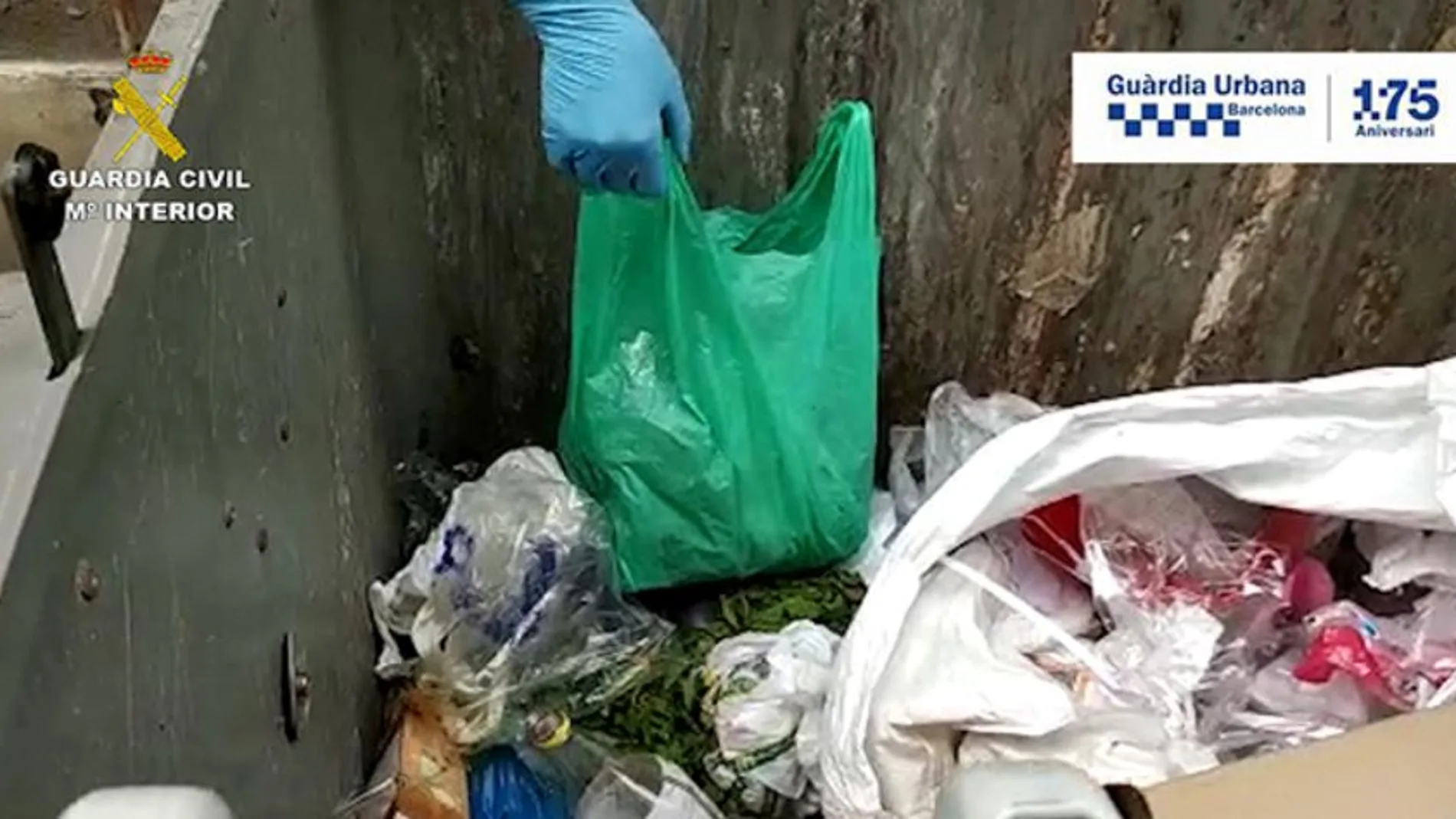 Los ingredientes contaminados para hacer «mojitos» se ocultaban en alcantarillas y contenedores de basura