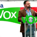 Vox: «El PP casi parece una oposición pactada»