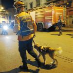 Un agente de Protección Civil, acompañado de su perro, comprueba los desperfectos en Caracas tras el seísmo