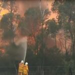 El fuego sigue avanzando en el estado australiano de Nueva Gales del Sur