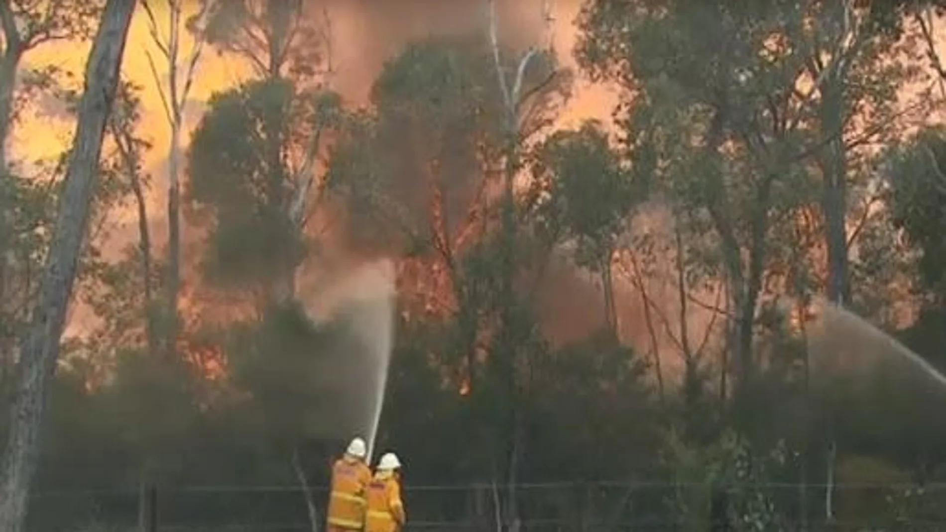 El fuego sigue avanzando en el estado australiano de Nueva Gales del Sur