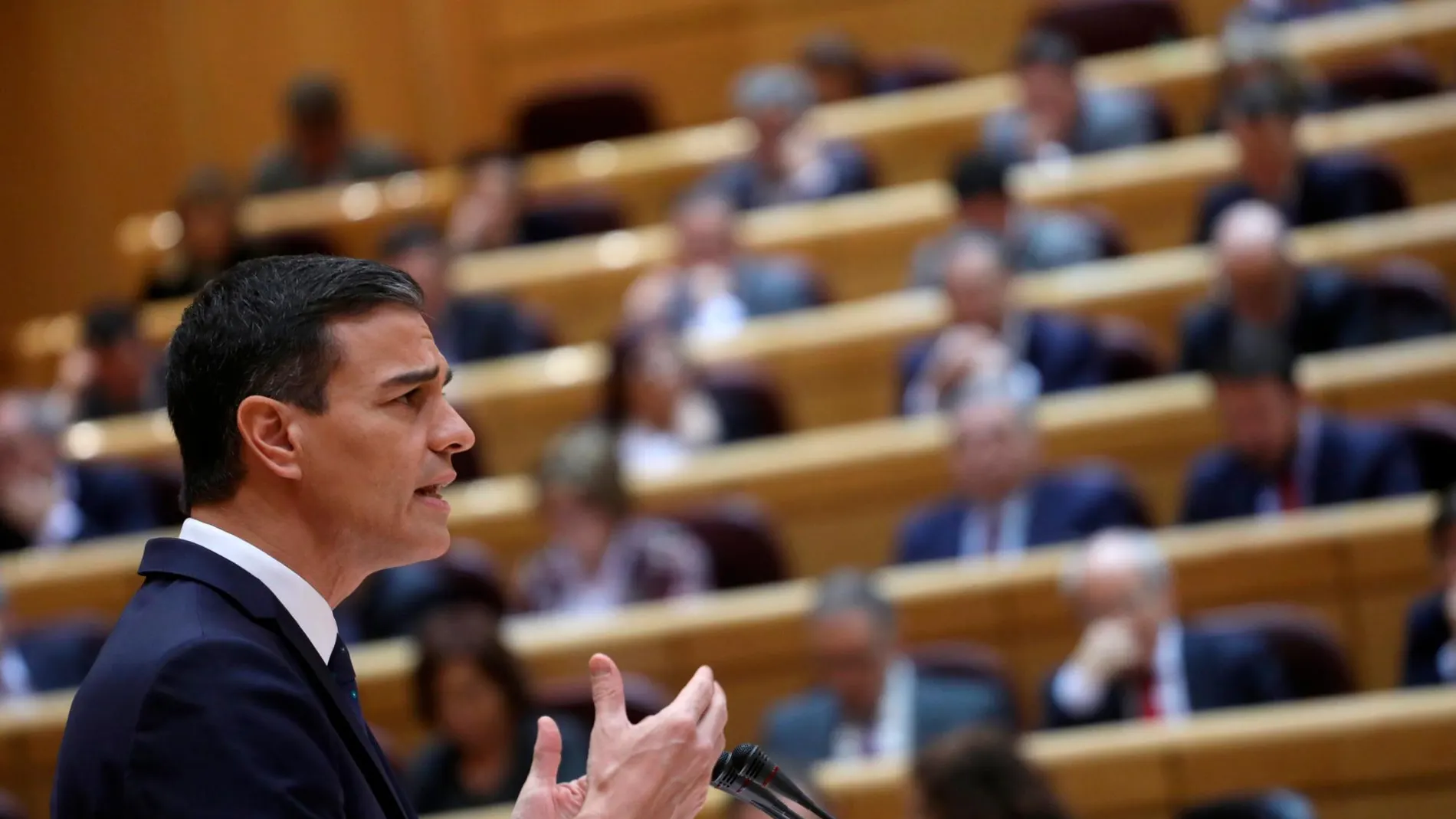 Pedro Sánchez en el Senado/Ap