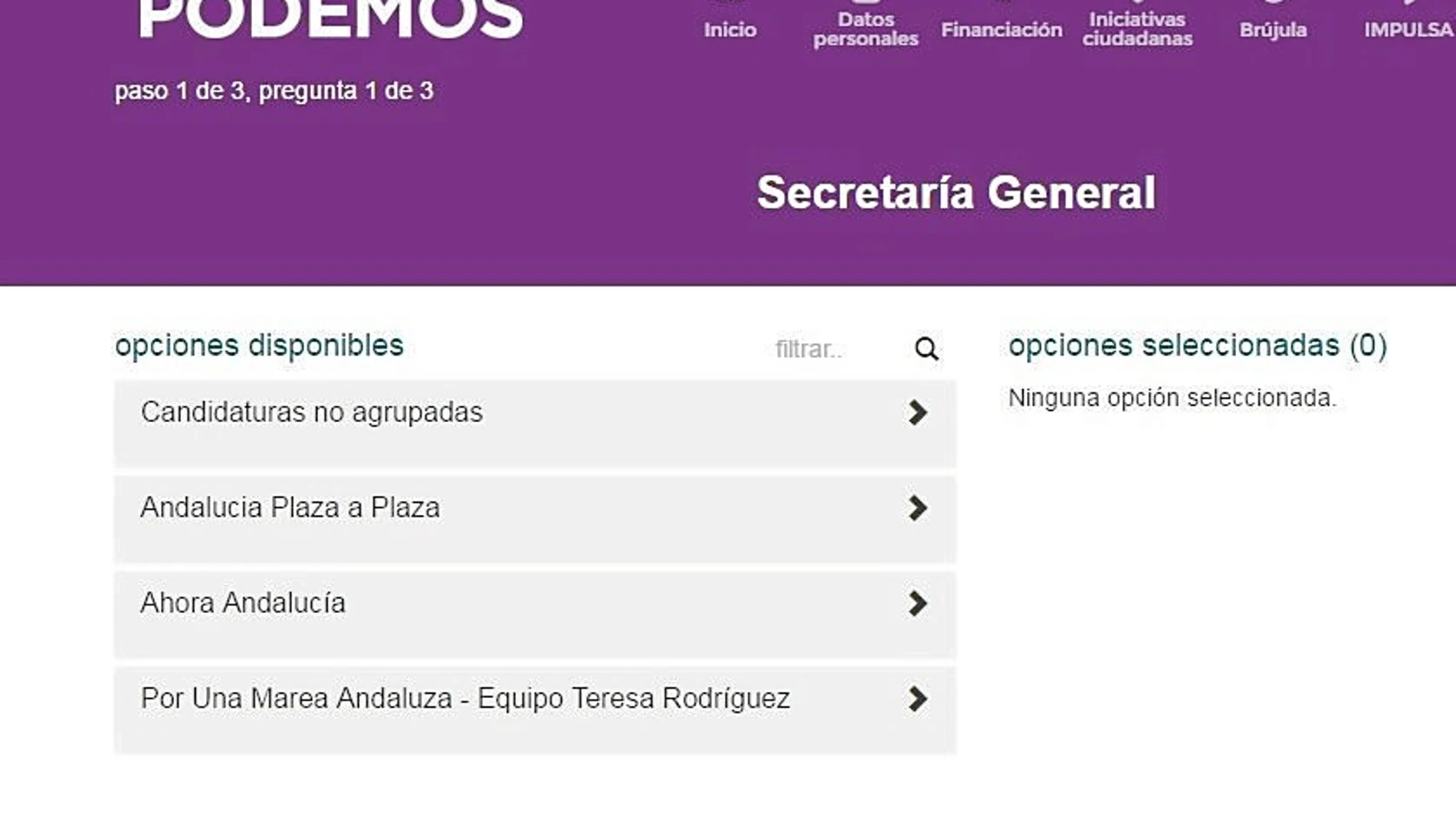 Captura de la página web de Podemos en la que se puede votar