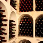 Viaja por la Denominaciones de Origen del vino