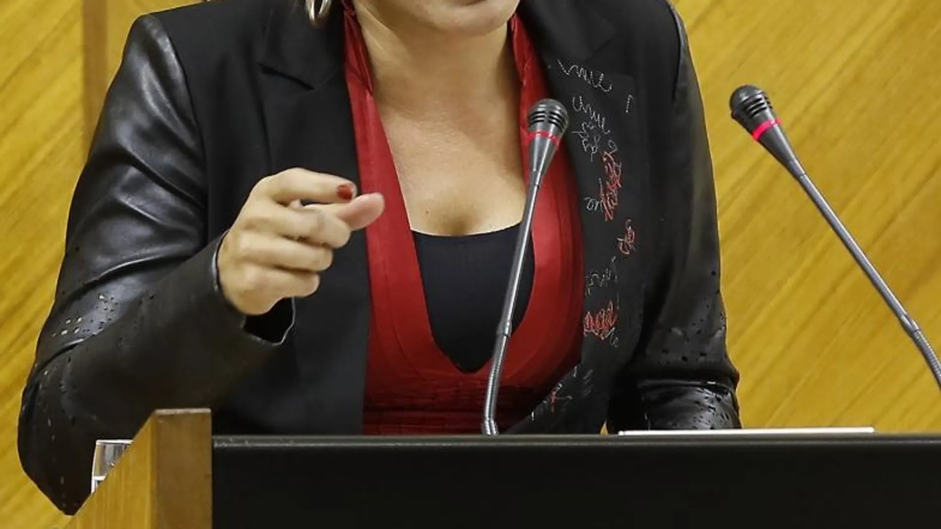 La portavoz de Podemos Andalucía, Teresa Rodríguez