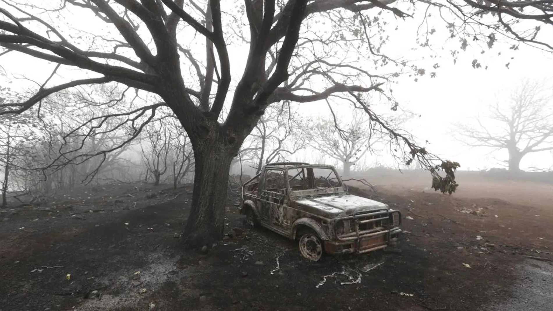 Un coche calcinado en las inmediaciones de la Cruz de Tejeda, arrasadas por el incendio declarado ayer y que ha calcinado hasta el momento 2.700 hectáreas