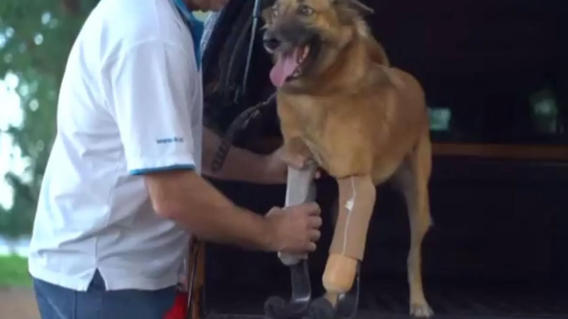 La fundación Soi Dog le rescató de la calle