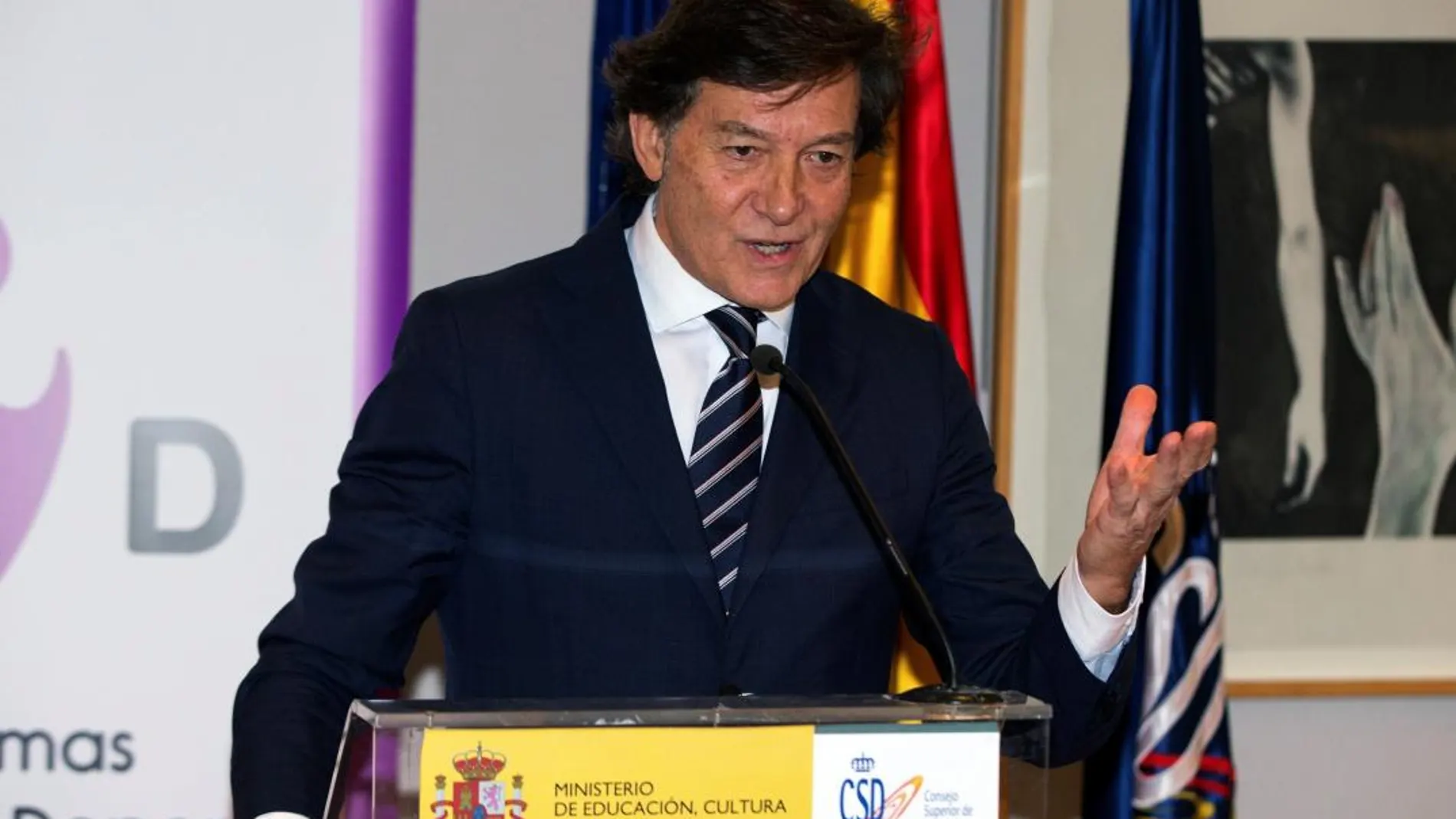 El presidente del Consejo Superior de Deportes (CSD), José Ramón Lete