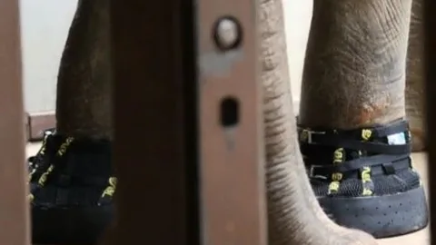 Detalle de las botas de Shanti