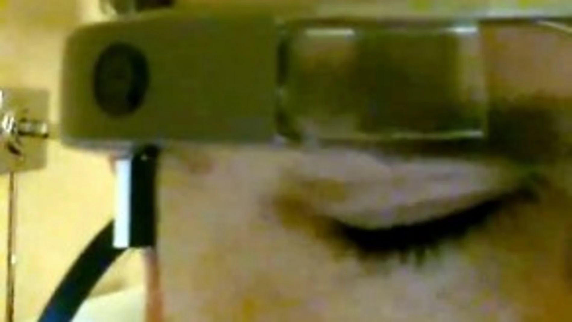 Winky, la app de Glass que hace fotos si guiñas el ojo
