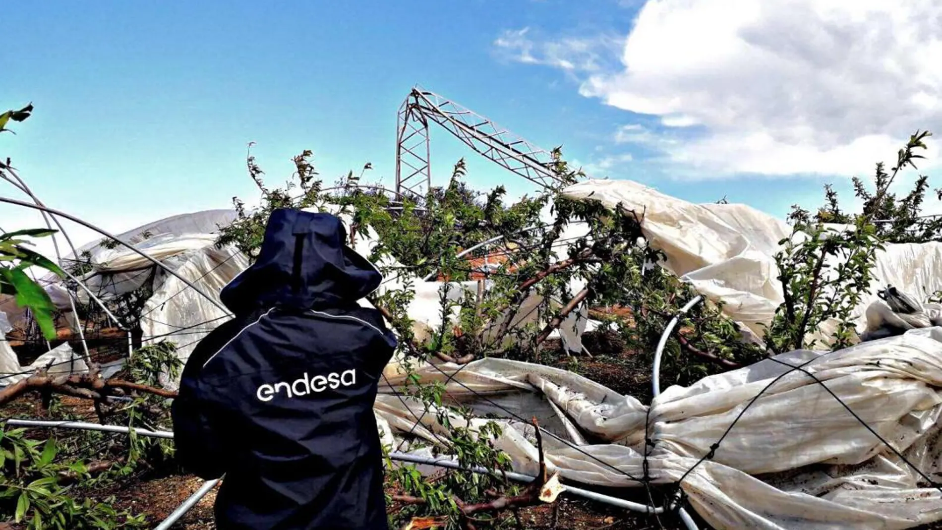 Algunos desperfectos provocados por el temporal de lluvia y viento en las infraestructuras de Endesa en Andalucía