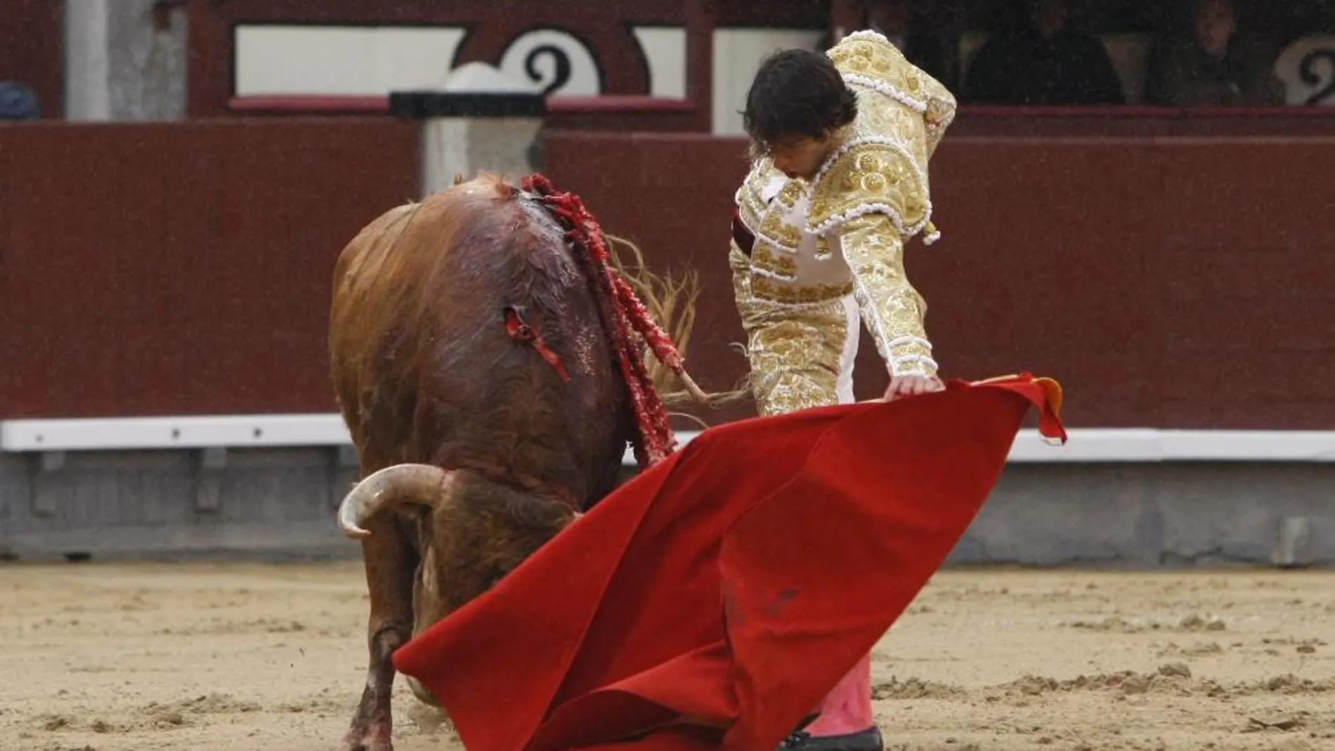 Antonio Nazaré torea al natural en Las Ventas el pasado Domingo de Ramos