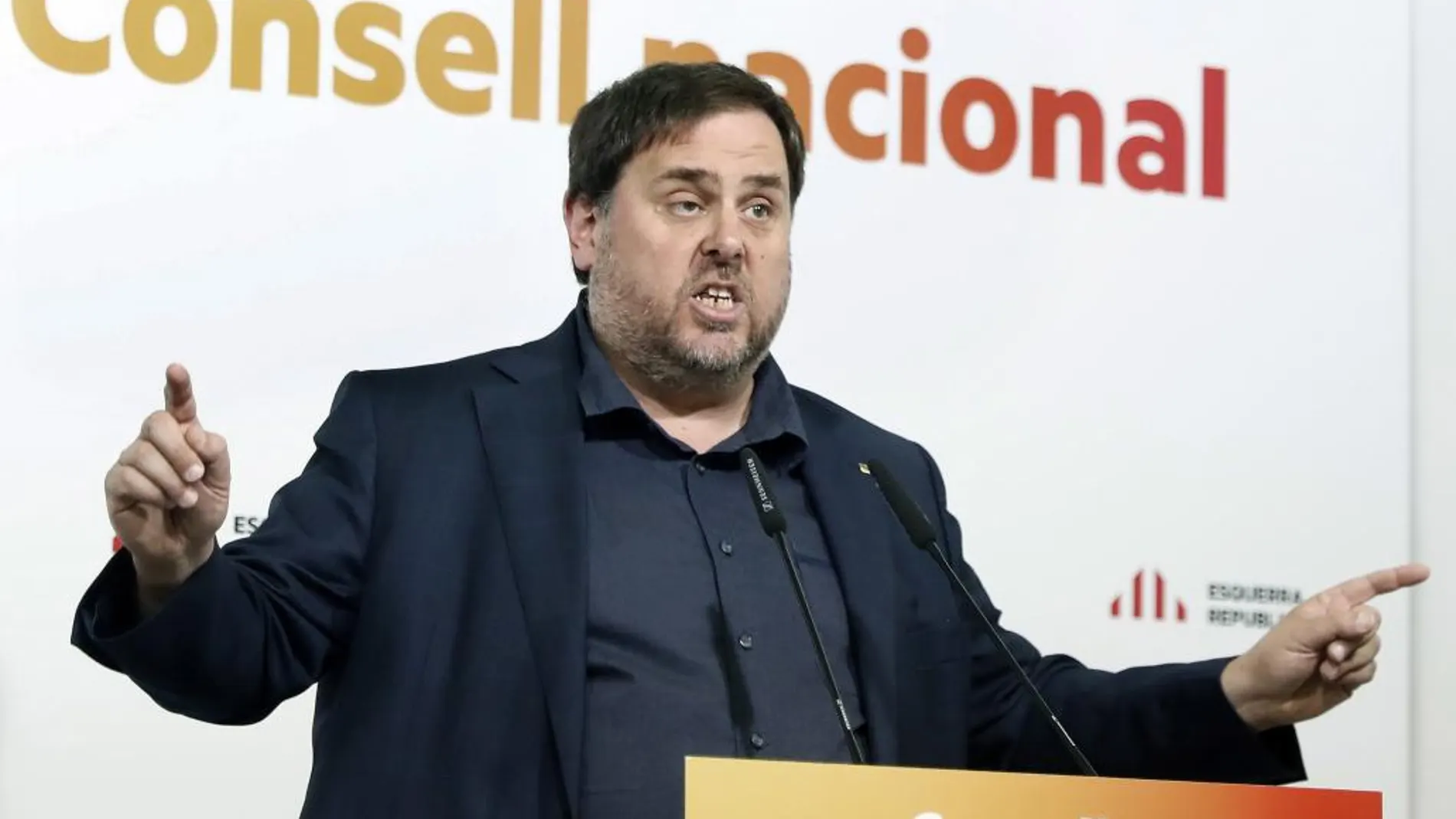 El vicepresidente del Govern, Oriol Junqueras, durante su intervención tras celebrarse la reunión del consejo nacional de ERC