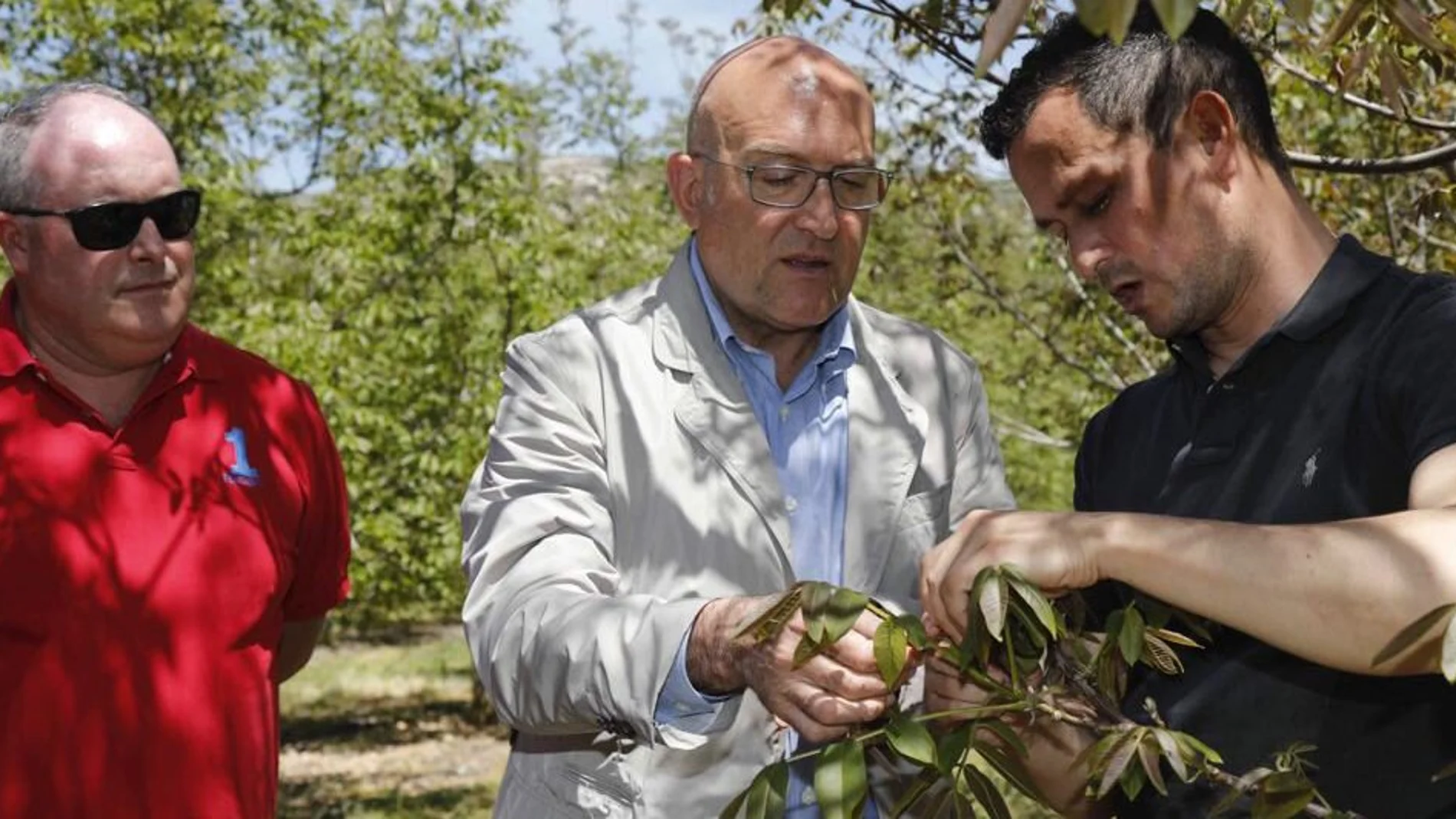 El consejero Jesús Julio Carnero conversa con unos agricultores