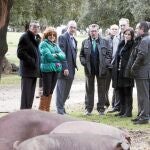 Silvia Clemente, María Jesús Pascual, Bienvenido Mena y Donaciano Dujo visitaron en una explotación porcina de la provincia salmantina