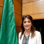 La directora general de Familias de la Junta de Andalucía, Ana Carmen Mata