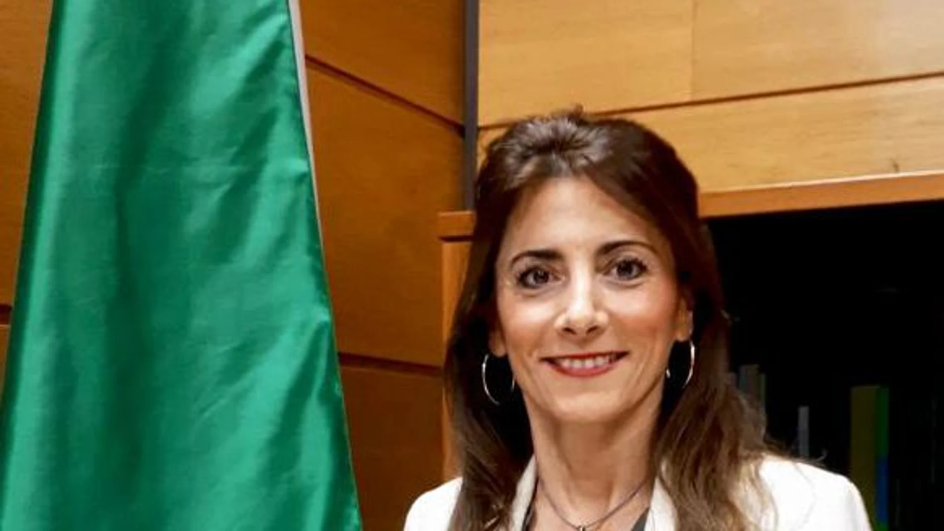 La directora general de Familias de la Junta de Andalucía, Ana Carmen Mata