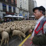 Los rebaños han recorrido el centro de la capital