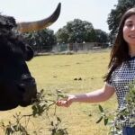 La candidata de PACMA confunde un toro bravo con un buey