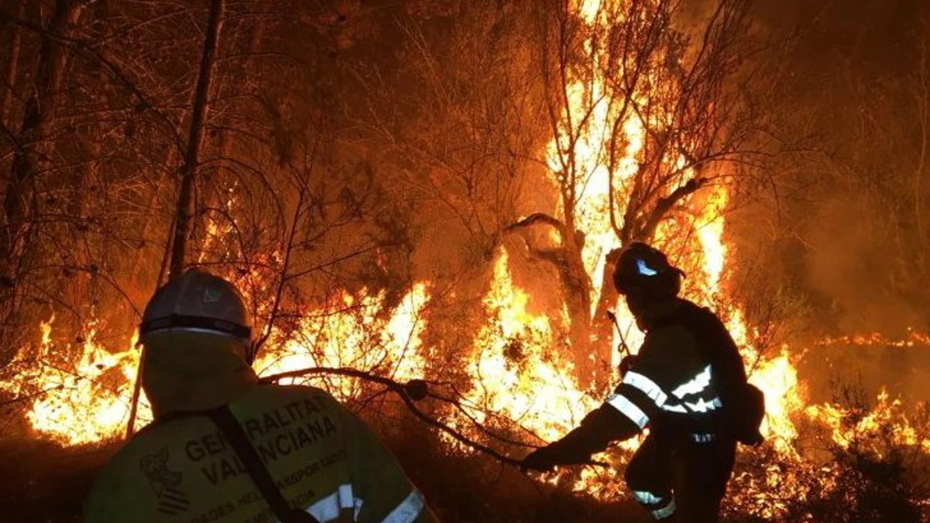 Las llamas han afectado fundamentalmente a bosque mediterráneo, con predominio de pino y carrasca