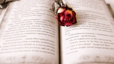 5 razones para decir «Sí, quiero» a la novela romántica