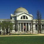 La colección de parásitos del Smithsonian Museum, de Washington, ha servido de base para el estudio