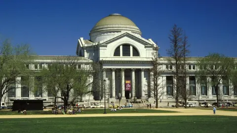 La colección de parásitos del Smithsonian Museum, de Washington, ha servido de base para el estudio