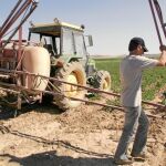 Vuelve a crecer el paro durante febrero y alcanza ya los 250.000 desempleados