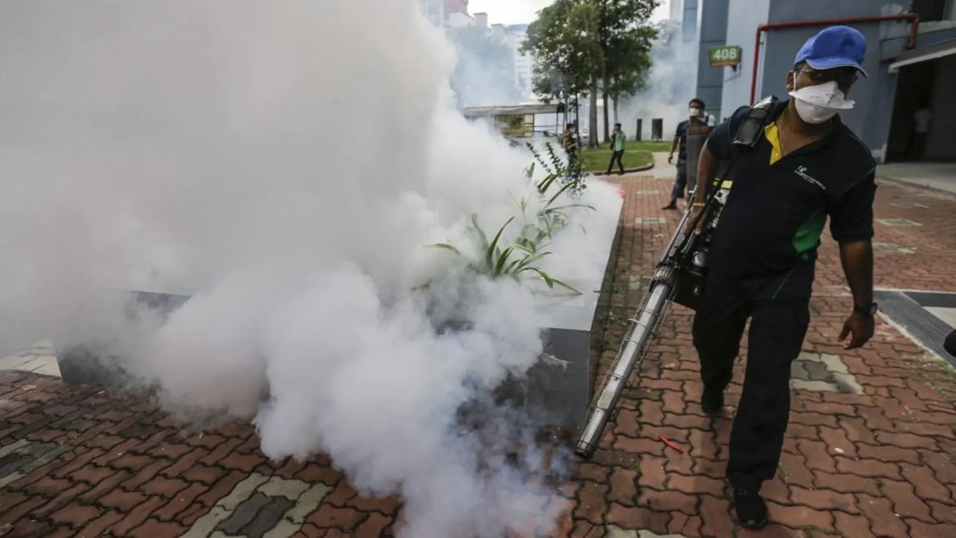 Labores de fumigación para prevernir la propagación del zika
