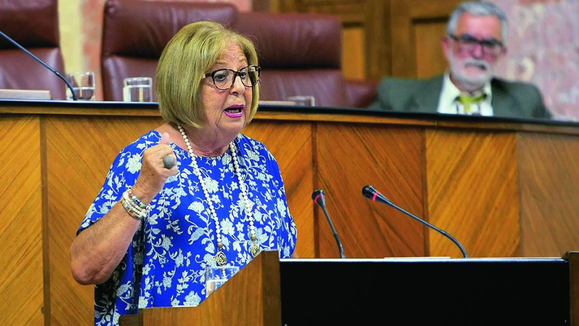 La consejera de Educación, Adelaida de la Calle, ayer en el Parlamento andaluz