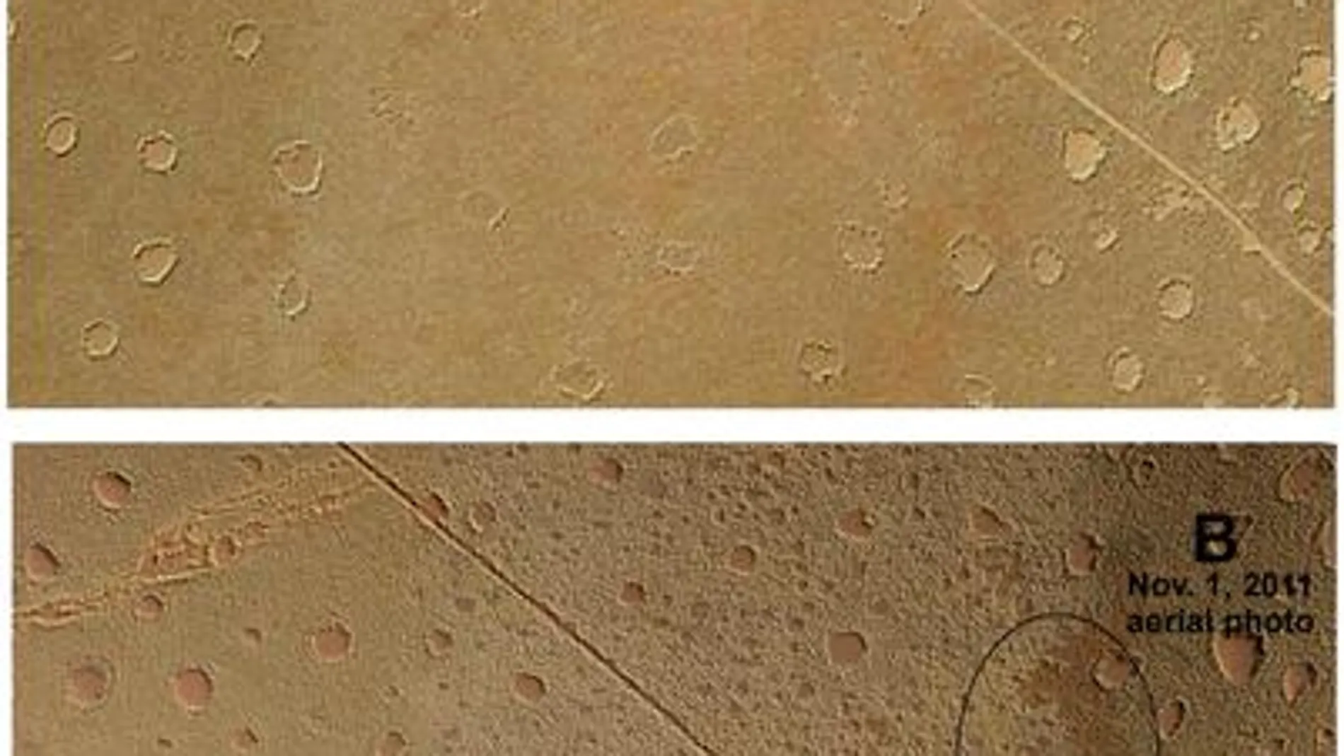 Las termitas originan los misteriosos círculos de hadas del desierto