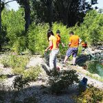 Varios castellanos y leoneses participan en las acciones de voluntariado ambiental.