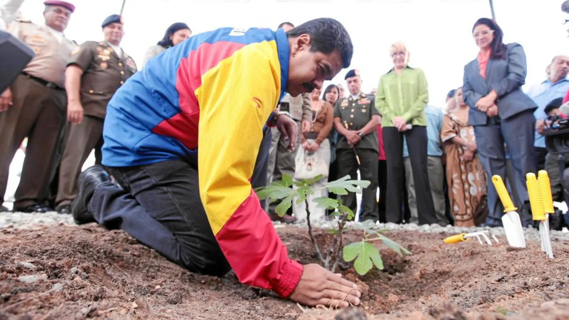 El presidente venezolano, Nicolás Maduro, planta un árbol en memoria del fallecido Hugo Chávez, ayer, en Caracas