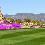 Desert Springs