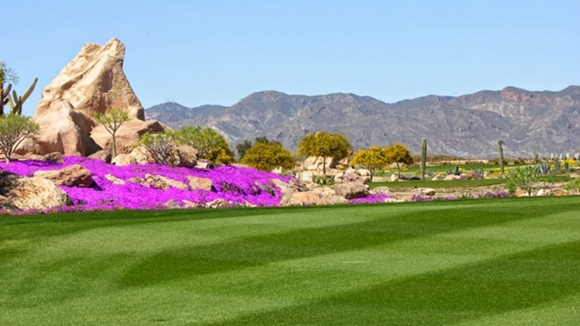Desert Springs