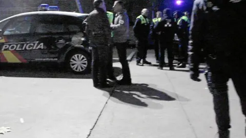 Agentes de la Policía en la puerta del Madrid Arena el día de la fiesta de Halloween