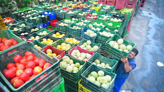 Almería es la provincia más exportadora de frutas y verduras / Foto: Efe
