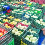 Almería es la provincia más exportadora de frutas y verduras / Foto: Efe