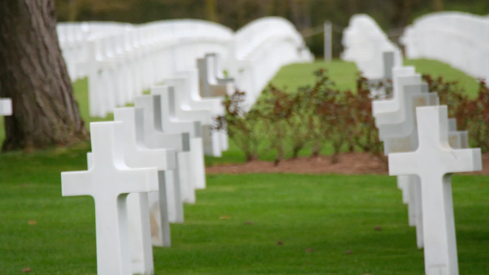 Detalle de algunas tumbas del cementerio estadounidense de Normandía
