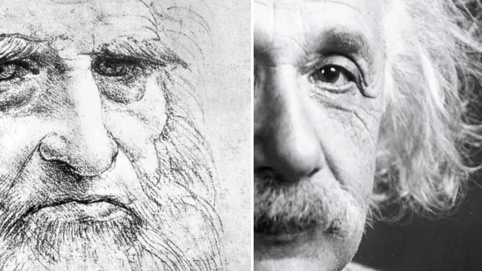 Las semblanzas de Isaacson se fijan en individuos cuya obra intelectual define un tiempo, como Leonardo y Albert Einstein